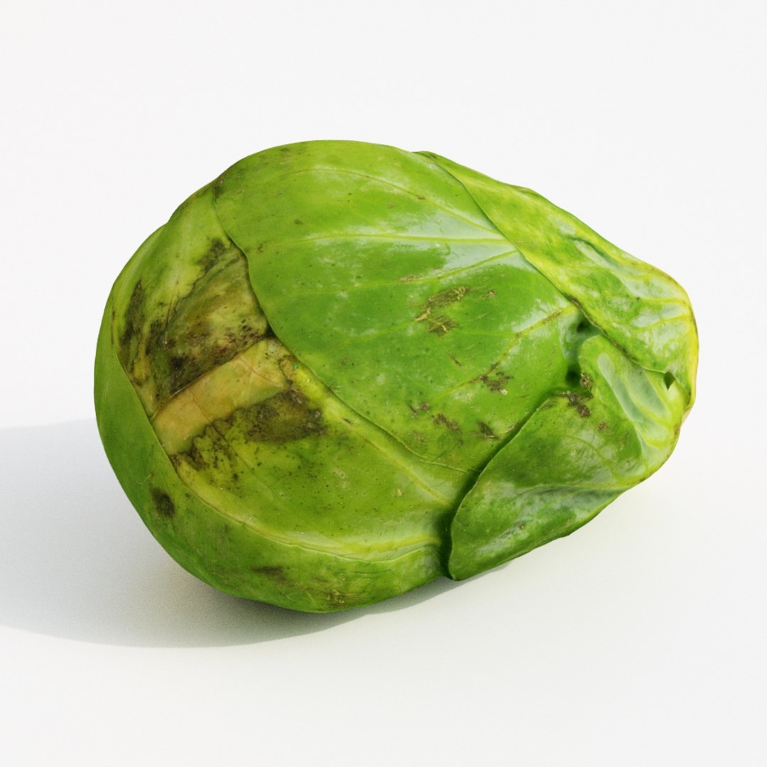 brussels sprout model https://p.turbosquid.com/ts-thumb/pY/p5HwgF/t4lC9312/brusselssprout2_th05/jpg/1567867629/1920x1080/fit_q87/9f2b2d8e432c6928d34ae621069d2ad97935cf78/brusselssprout2_th05.jpg
