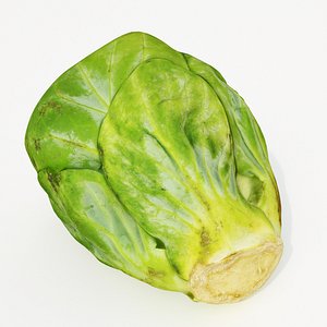 brussels sprout model