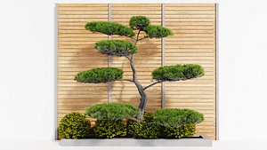 Small Garden
