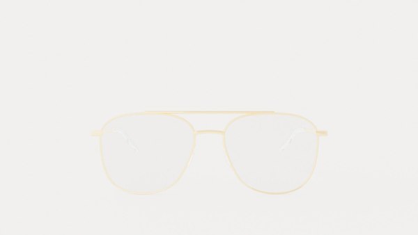 Eco - Edinburgh Gold Glasses 3D model