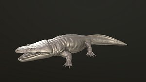 Metoposaurus 3D print model 3D