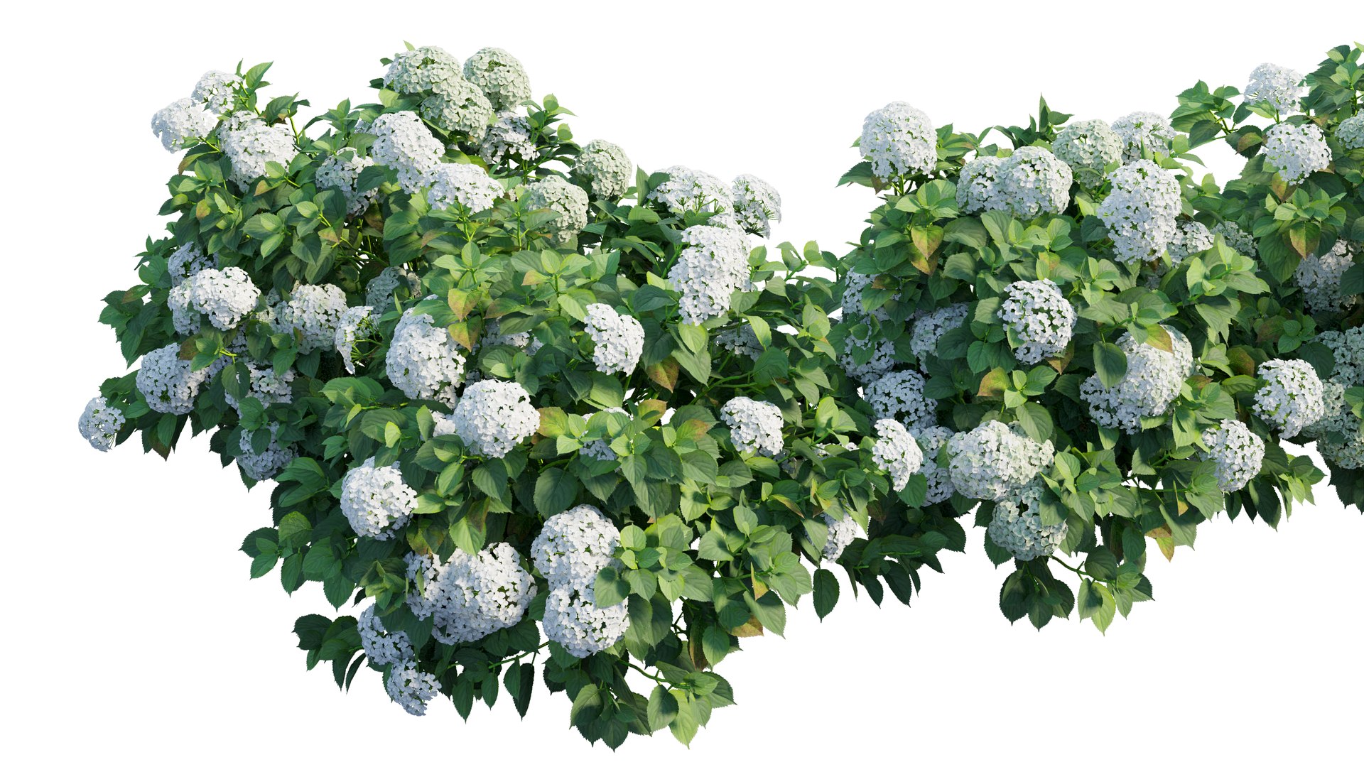plant set 3D https://p.turbosquid.com/ts-thumb/pZ/BiPguK/4EuLadi9/4_interactivelightmix/png/1598450531/1920x1080/fit_q87/9c821b339e3061758b3cfc52d8b3d5291bed35b5/4_interactivelightmix.jpg