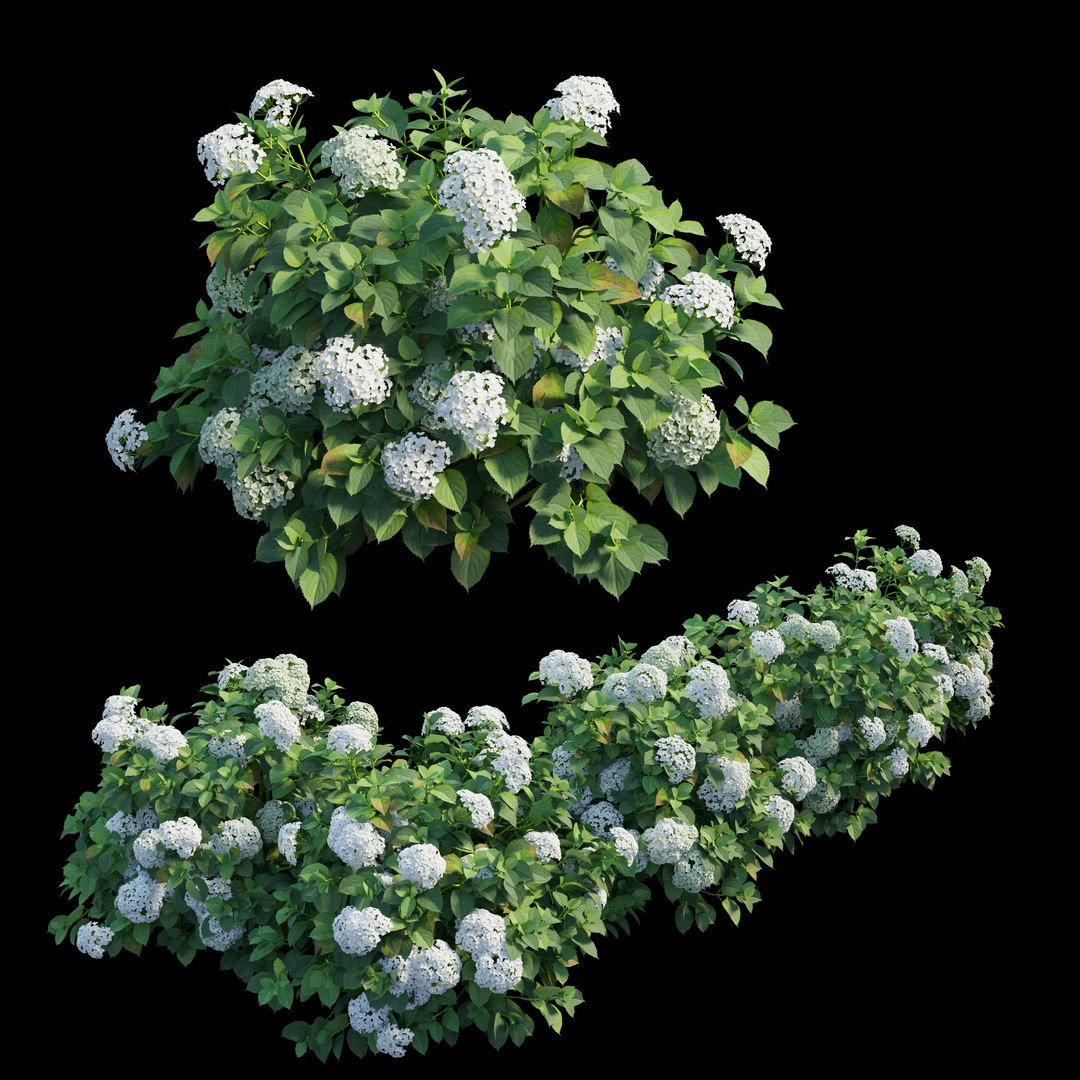 plant set 3D https://p.turbosquid.com/ts-thumb/pZ/BiPguK/8gMwZubT/view02/jpg/1598449395/1920x1080/fit_q87/792fdb26ba875a71fcb9bbffc197bc092c1da337/view02.jpg