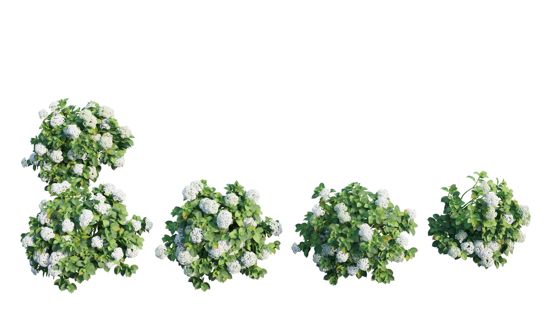 plant set 3D https://p.turbosquid.com/ts-thumb/pZ/BiPguK/FCLSIlv4/8_interactivelightmix/png/1598450531/1920x1080/fit_q87/e2cf34c98c2486f31da8a149177e9753dbb19bda/8_interactivelightmix.jpg