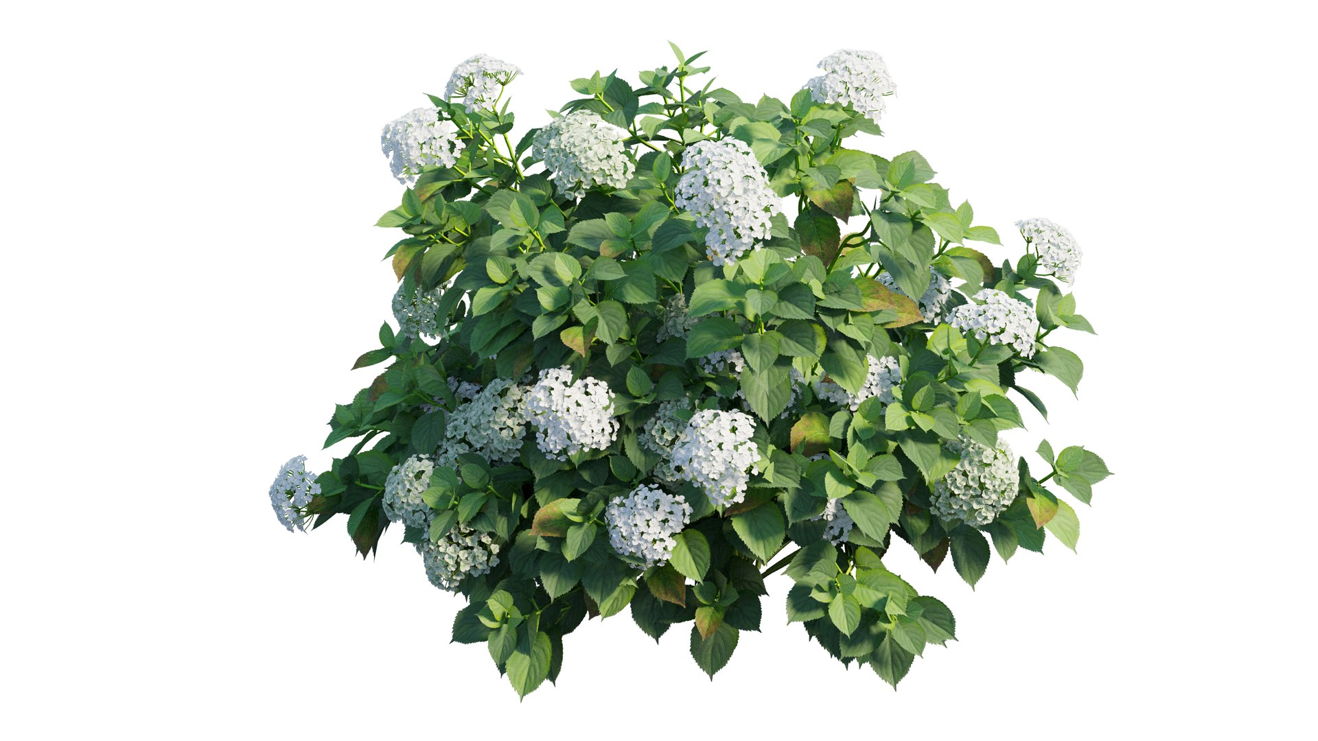 plant set 3D https://p.turbosquid.com/ts-thumb/pZ/BiPguK/GGm452DI/10_interactivelightmix/png/1598450534/1920x1080/fit_q87/bb0c1f0080c9d73592708e230a1c72f55fff7cf2/10_interactivelightmix.jpg