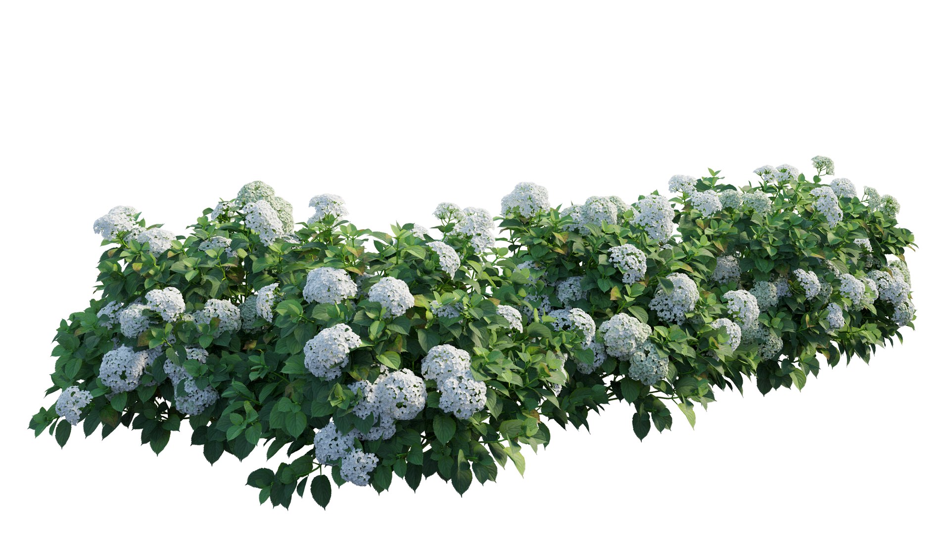 plant set 3D https://p.turbosquid.com/ts-thumb/pZ/BiPguK/GcGCgVhh/3_interactivelightmix/png/1598450526/1920x1080/fit_q87/103a823c91a953585dad35f741bad7d1d72fe089/3_interactivelightmix.jpg