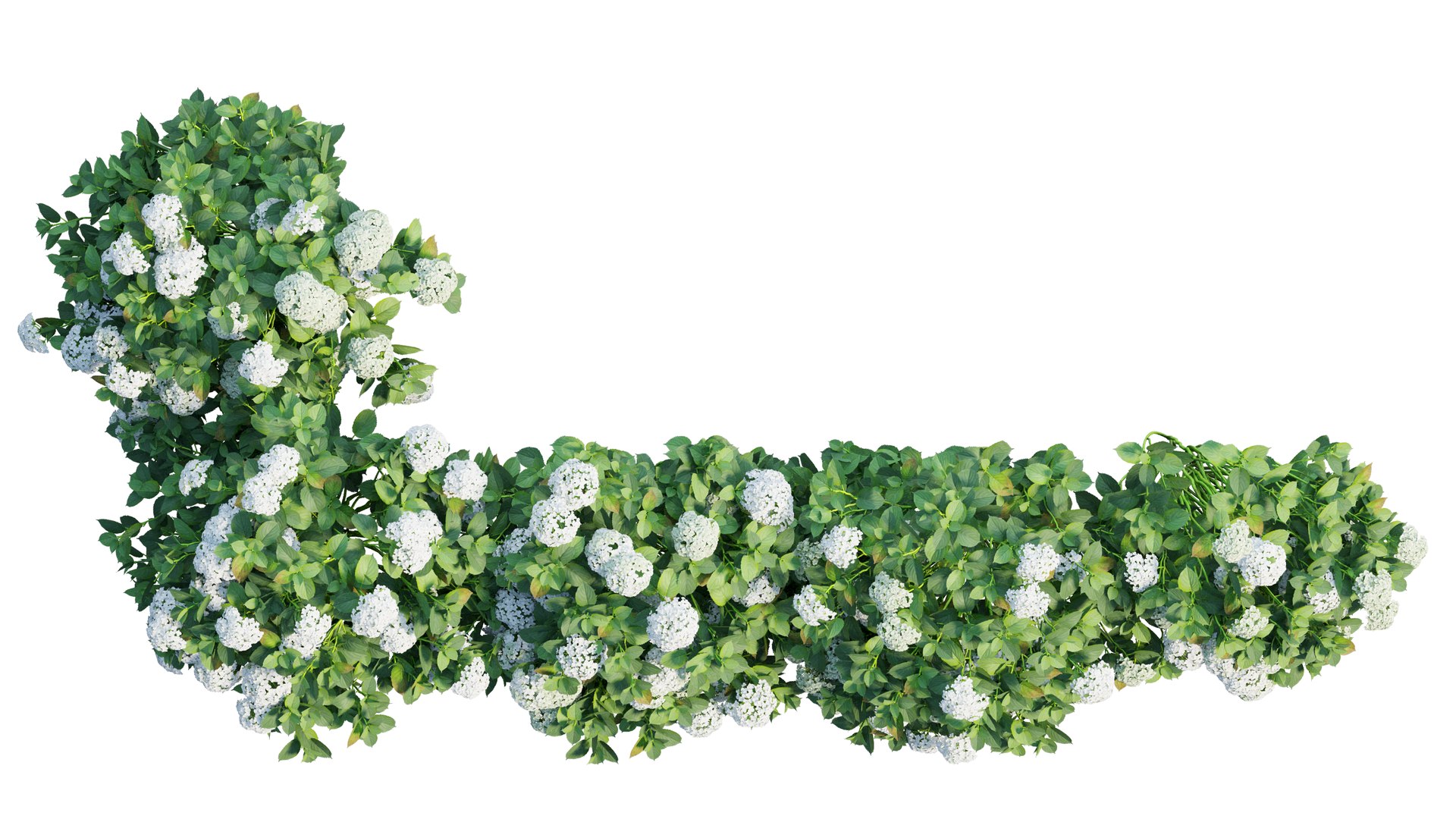 plant set 3D https://p.turbosquid.com/ts-thumb/pZ/BiPguK/O7ToBFUu/7_interactivelightmix/png/1598450530/1920x1080/fit_q87/34149b6934ef2ba609a37d5c971c94de61f64f10/7_interactivelightmix.jpg