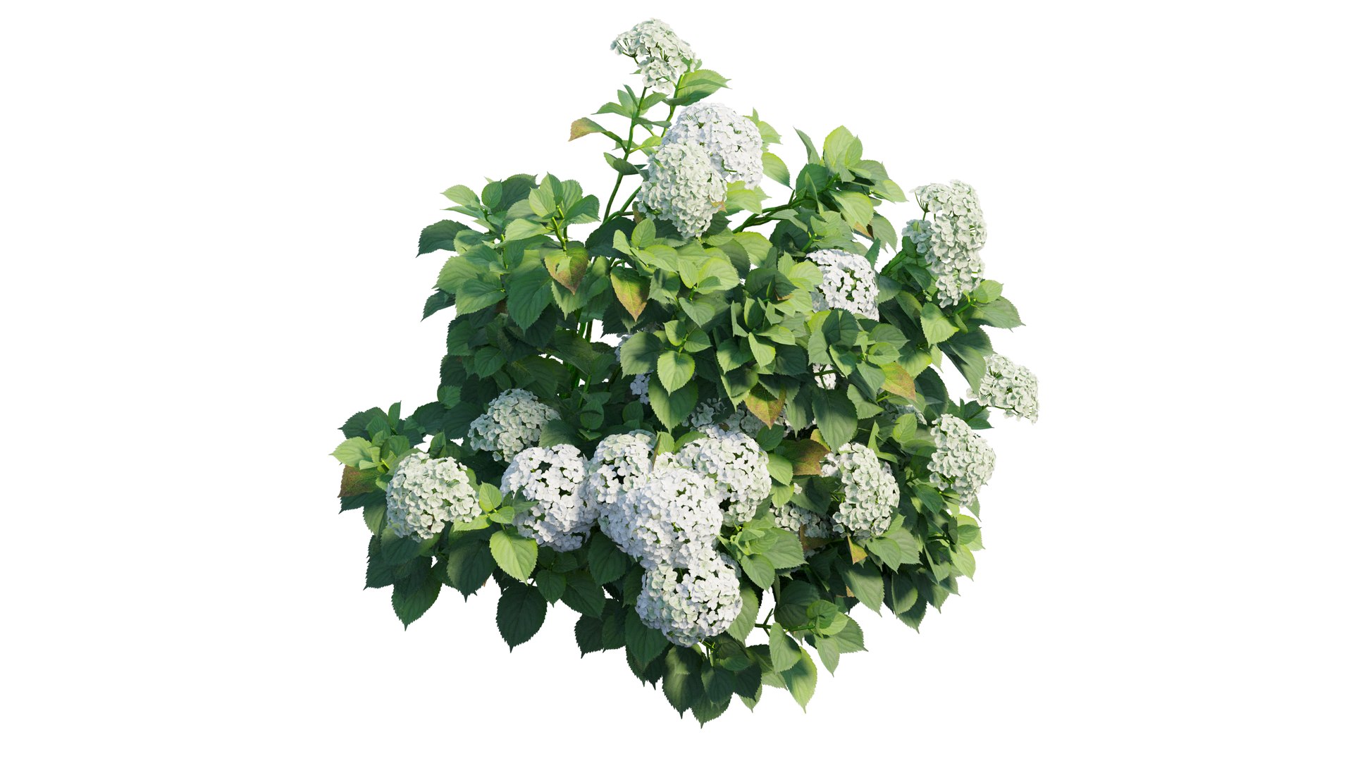 plant set 3D https://p.turbosquid.com/ts-thumb/pZ/BiPguK/UI8Lvwdi/11_interactivelightmix/png/1598450532/1920x1080/fit_q87/8231ffffbebabb4aa98be2959de8dc61f10c9dca/11_interactivelightmix.jpg