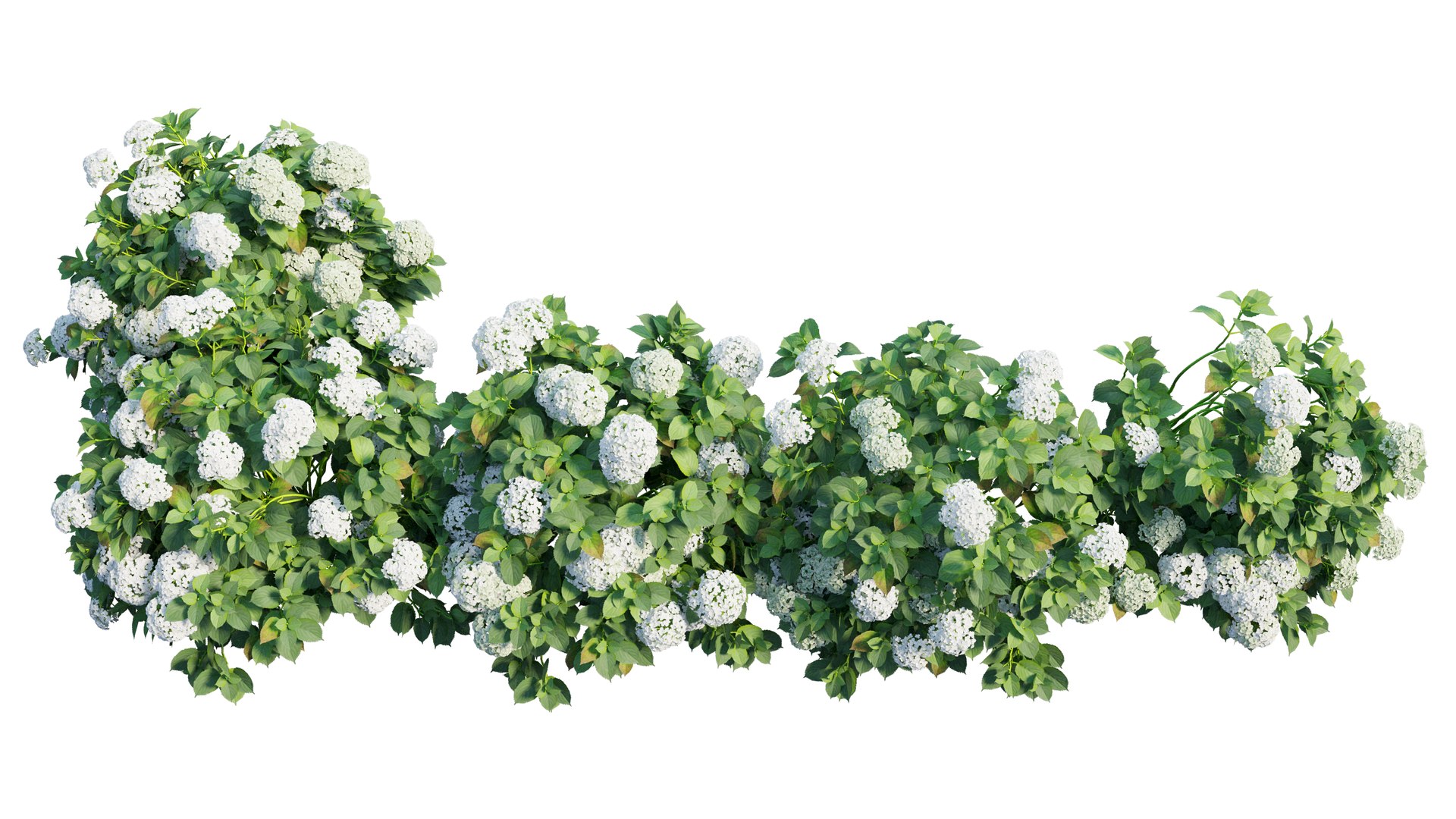 plant set 3D https://p.turbosquid.com/ts-thumb/pZ/BiPguK/faoqHU0s/5_interactivelightmix/png/1598450529/1920x1080/fit_q87/71a428e551dd2e6f914531e8f5a999f04b695718/5_interactivelightmix.jpg