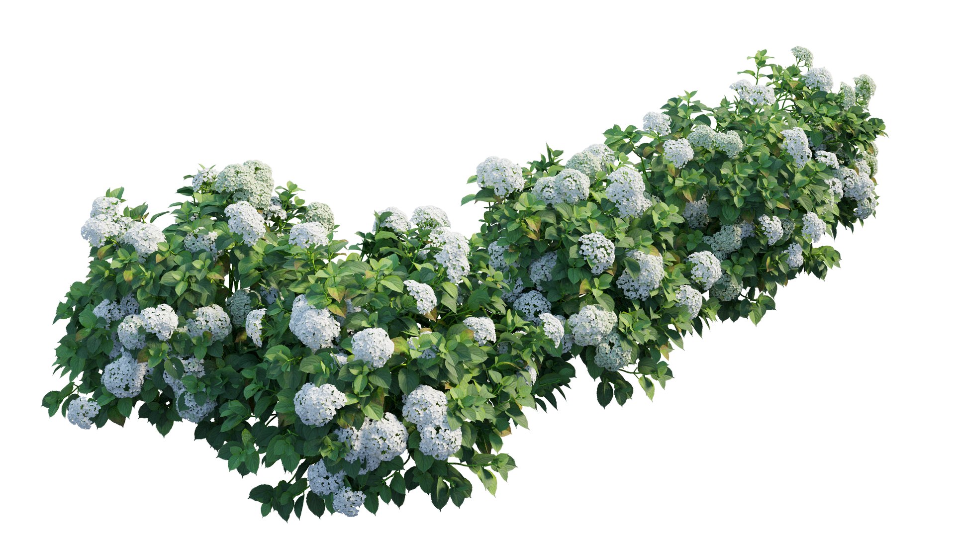 plant set 3D https://p.turbosquid.com/ts-thumb/pZ/BiPguK/iExKaXRj/2_interactivelightmix/png/1598450522/1920x1080/fit_q87/4de4a3a2076aeecf61d633d99e8740e17c8c8f12/2_interactivelightmix.jpg