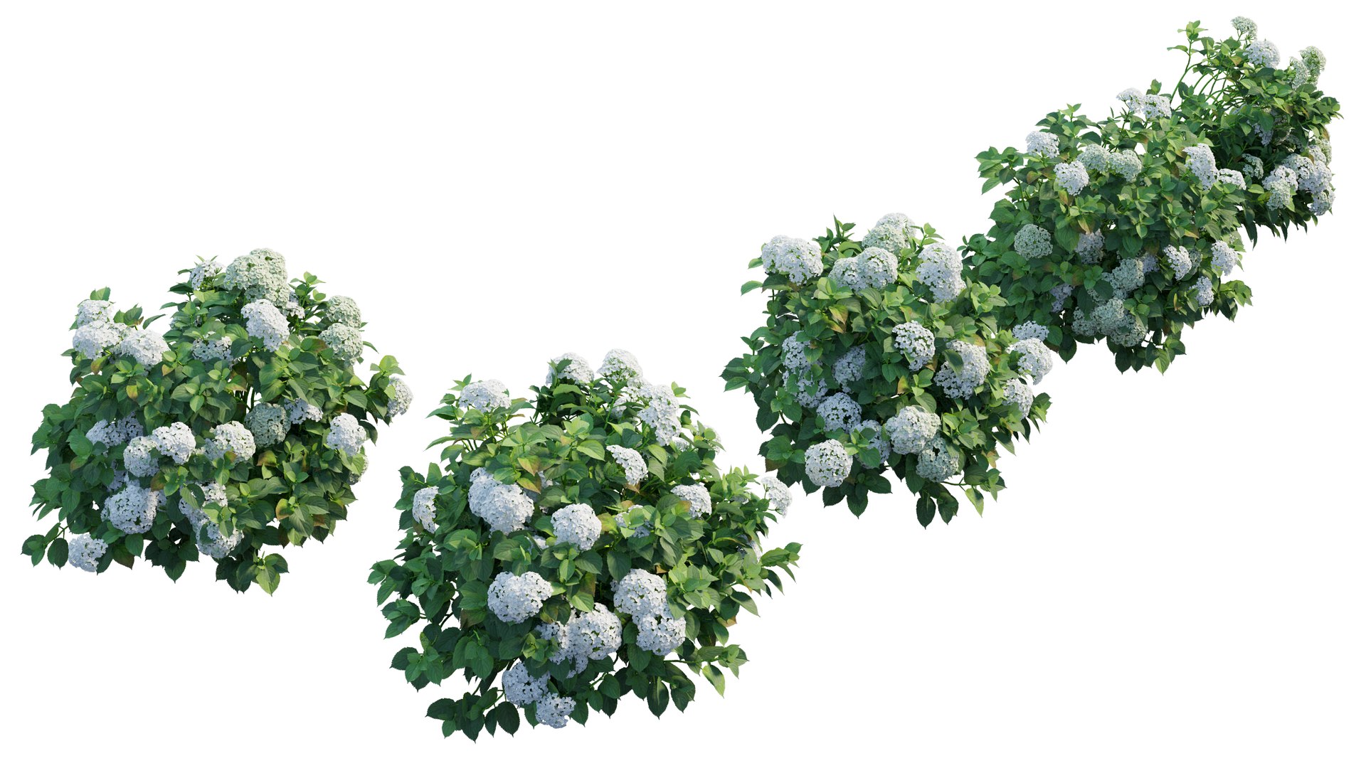 plant set 3D https://p.turbosquid.com/ts-thumb/pZ/BiPguK/kpidxEp4/9_interactivelightmix/png/1598450533/1920x1080/fit_q87/324424701932228f29ef28e7743560562ab32985/9_interactivelightmix.jpg