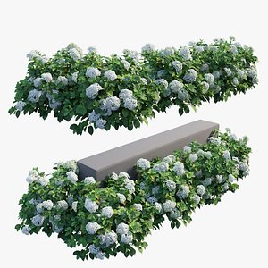 Hydrangea Plant set 28