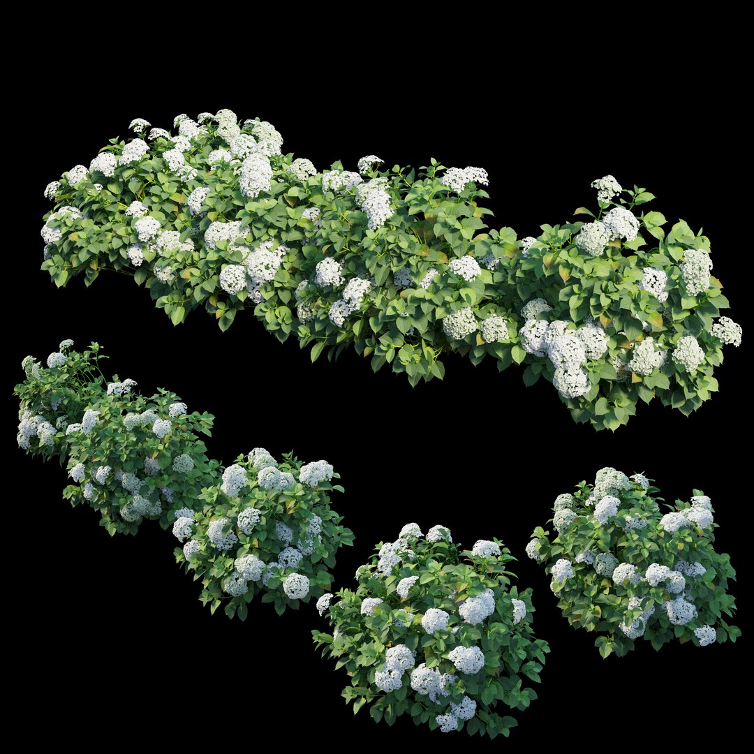 plant set 3D https://p.turbosquid.com/ts-thumb/pZ/BiPguK/luxlxs8h/view04/jpg/1598449405/1920x1080/fit_q87/a27565af0650b5b9f6e8c8ae3f6df27dc6ac17f0/view04.jpg
