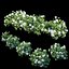 Ensemble de plantes d'hortensia 28