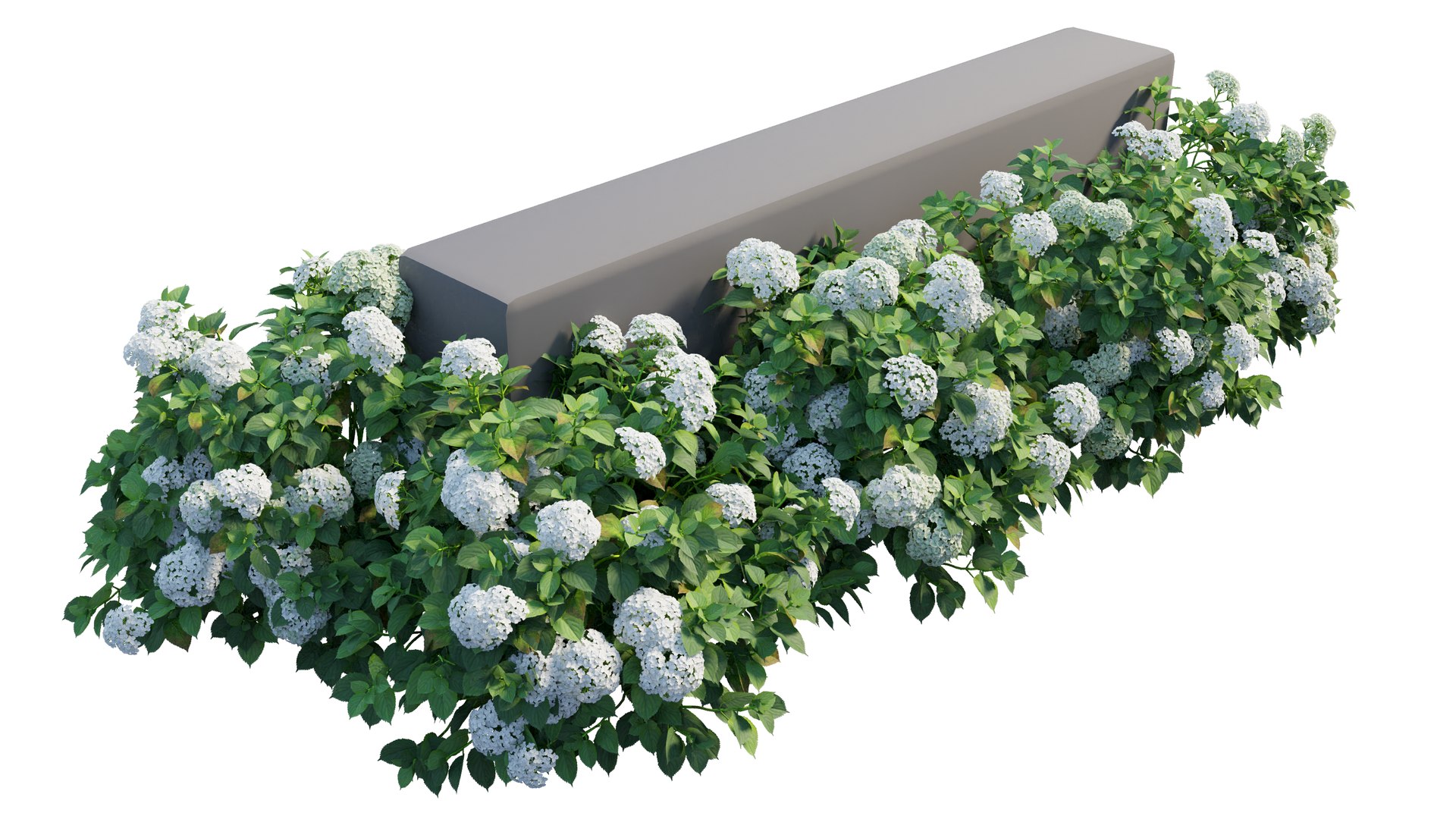 plant set 3D https://p.turbosquid.com/ts-thumb/pZ/BiPguK/r5E7p1sg/1_interactivelightmix/png/1598450527/1920x1080/fit_q87/23ffdfffaa91332688f8988ff1c28099260eaef5/1_interactivelightmix.jpg