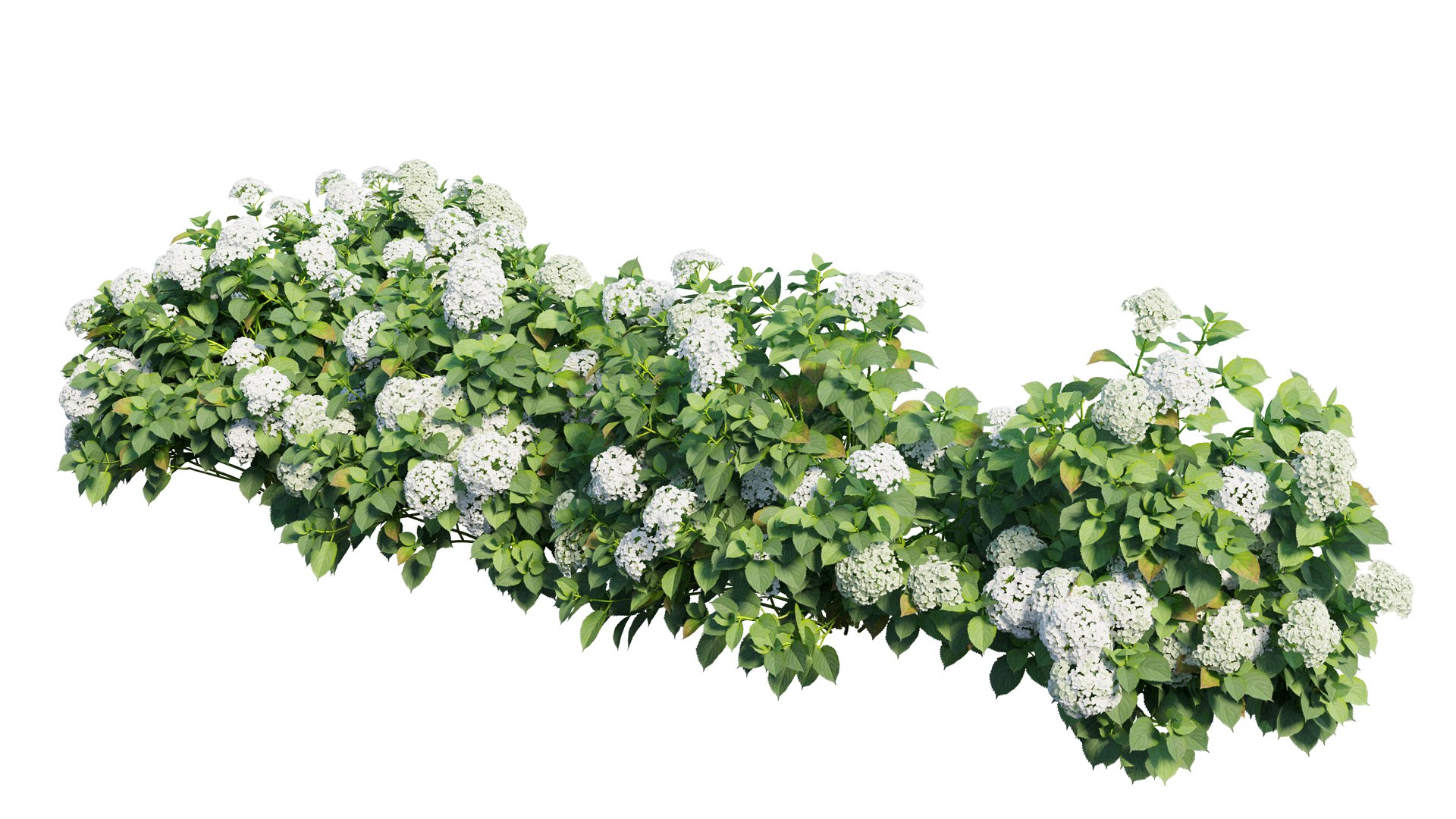 plant set 3D https://p.turbosquid.com/ts-thumb/pZ/BiPguK/tIUlJUkj/6_interactivelightmix/png/1598450531/1920x1080/fit_q87/0b53880ed5983a6a453c6f62eae8bba65a98c4c3/6_interactivelightmix.jpg