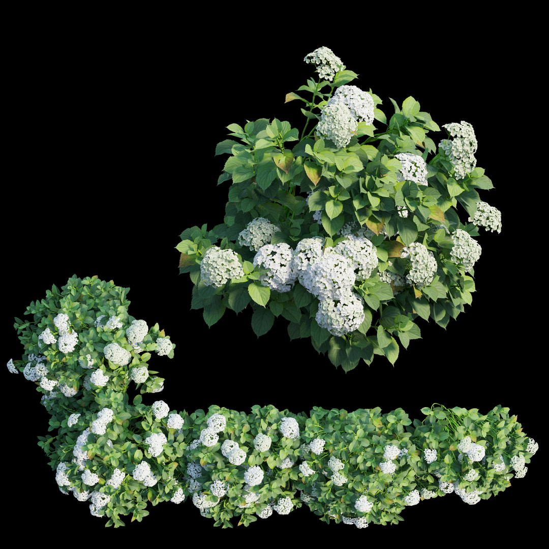 plant set 3D https://p.turbosquid.com/ts-thumb/pZ/BiPguK/theeh9Iv/view03/jpg/1598449395/1920x1080/fit_q87/68d547e14f167e6b9450cc0819a327ee17a7f9fd/view03.jpg