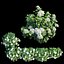 Ensemble de plantes d'hortensia 28