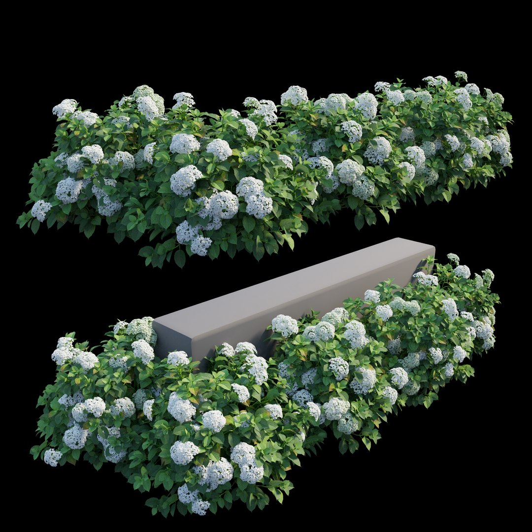 plant set 3D https://p.turbosquid.com/ts-thumb/pZ/BiPguK/wZ956sOk/view01/jpg/1598449392/1920x1080/fit_q87/45f12bdd6802c04a9f141fe7d0ca960448150cd8/view01.jpg