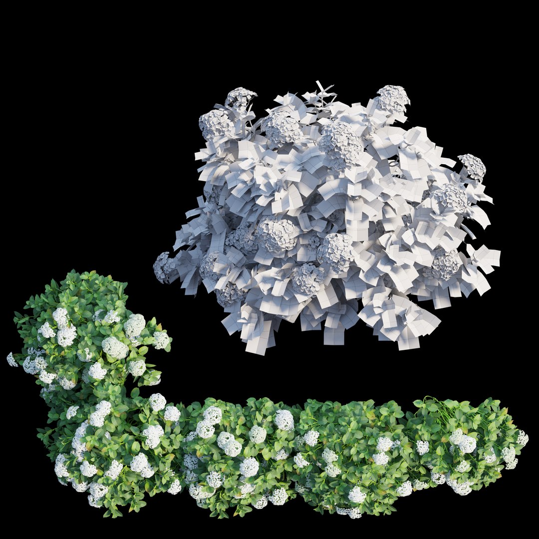 plant set 3D https://p.turbosquid.com/ts-thumb/pZ/BiPguK/y220tk8S/view05/jpg/1598449404/1920x1080/fit_q87/2006365ef58cfcbec6f48c6bd56a5461443e2e2a/view05.jpg