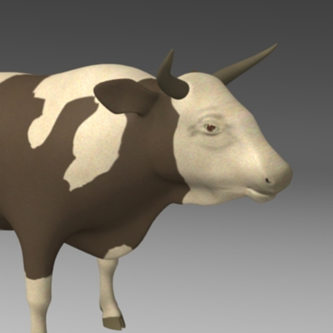 Bull 3D model - TurboSquid 430668