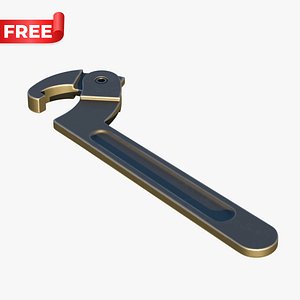 Adjustable Hook Spanner Wrench