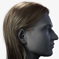 Real-time female haircut-Straight medium long