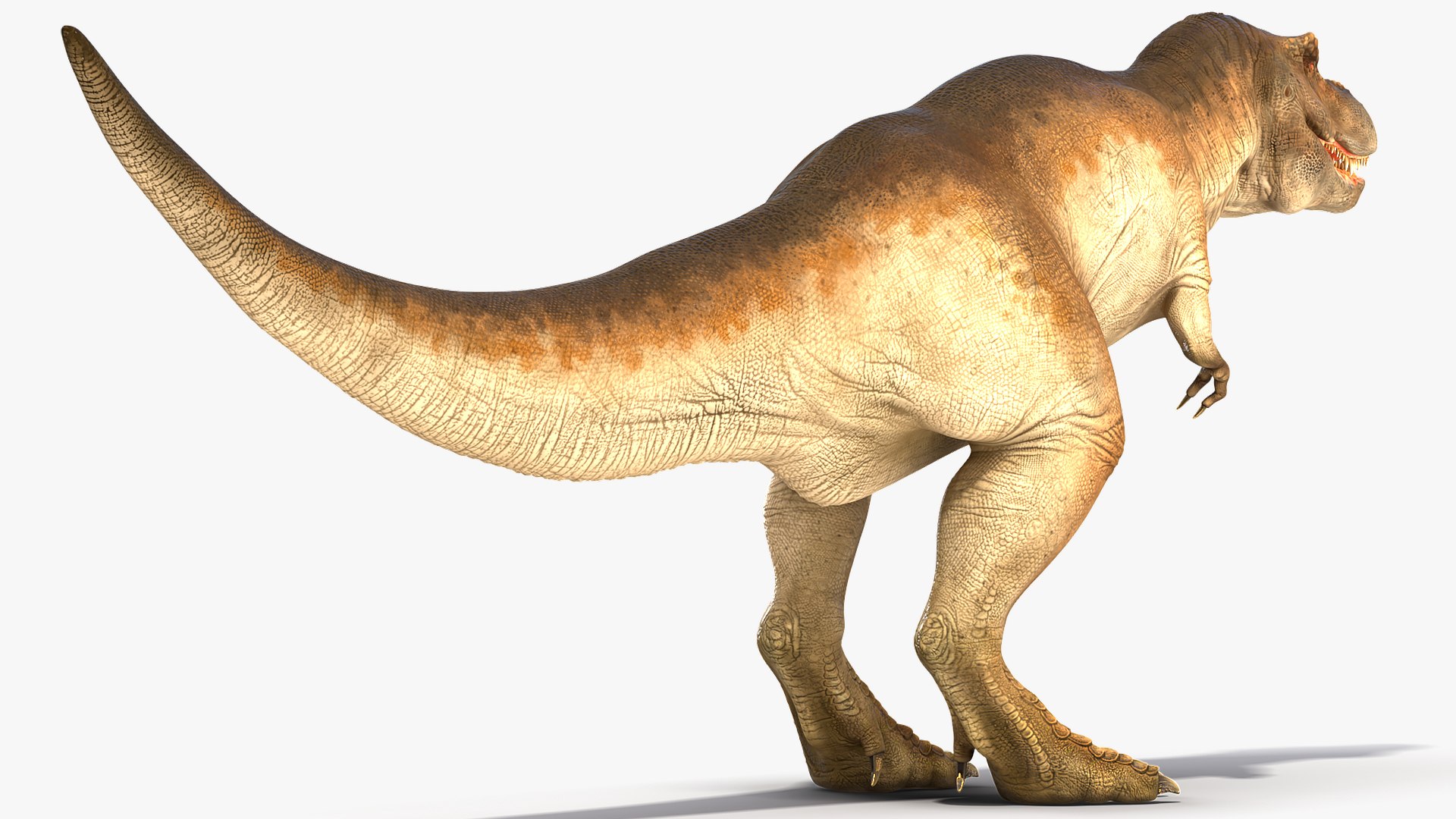 3D tyrannosaurus rex waiting animal https://p.turbosquid.com/ts-thumb/pZ/elxiBO/1DceCE77/animatedtyrannosaurusrexidleriggedvray3dmodel004/jpg/1575268230/1920x1080/fit_q87/f554465c26ad627eece992d603db28515f66db18/animatedtyrannosaurusrexidleriggedvray3dmodel004.jpg