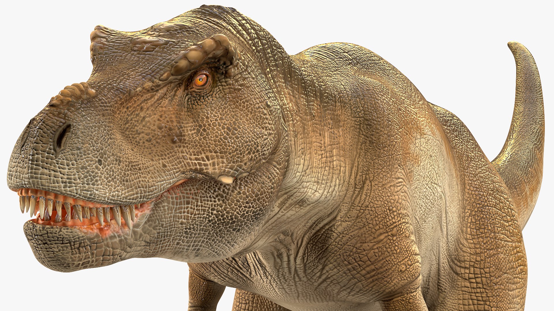 3D tyrannosaurus rex waiting animal https://p.turbosquid.com/ts-thumb/pZ/elxiBO/7WoVumqK/animatedtyrannosaurusrexidleriggedvray3dmodel009/jpg/1575268236/1920x1080/fit_q87/ffd5d1534ee3921d295847ff9f22ce28610c32c3/animatedtyrannosaurusrexidleriggedvray3dmodel009.jpg