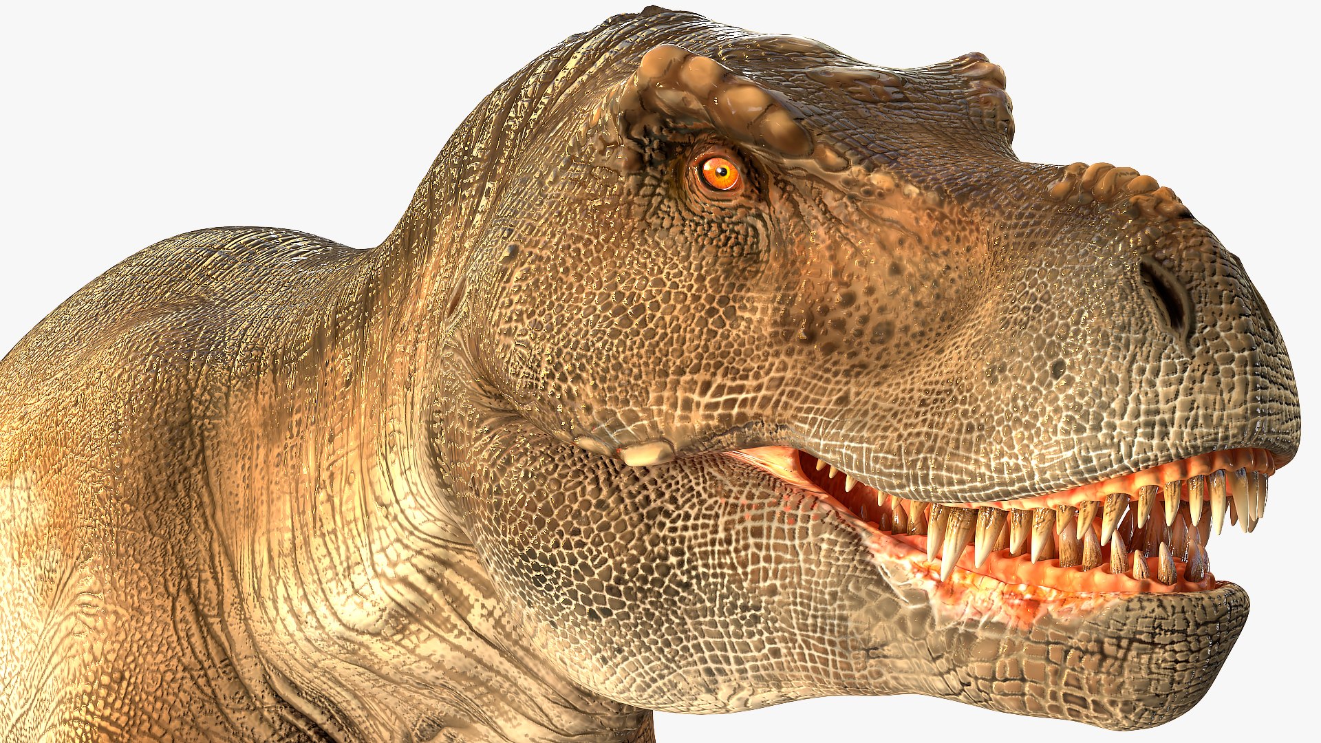 3D tyrannosaurus rex waiting animal https://p.turbosquid.com/ts-thumb/pZ/elxiBO/L74l1ZkT/animatedtyrannosaurusrexidleriggedvray3dmodel010/jpg/1575268237/1920x1080/fit_q87/7919698a6942ac46949d5b6893ca131cb3de5659/animatedtyrannosaurusrexidleriggedvray3dmodel010.jpg
