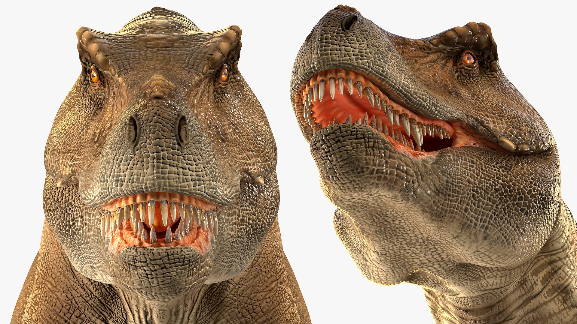3D tyrannosaurus rex waiting animal https://p.turbosquid.com/ts-thumb/pZ/elxiBO/QcBidcMW/animatedtyrannosaurusrexidleriggedvray3dmodel014/jpg/1575268240/1920x1080/fit_q87/e06deb603a5f1d9aff15a077225349c4ce4eea26/animatedtyrannosaurusrexidleriggedvray3dmodel014.jpg