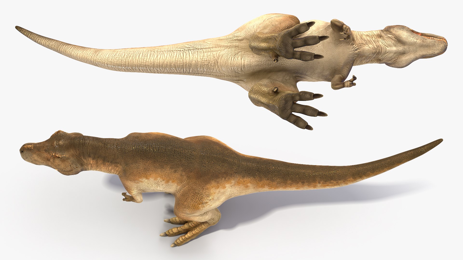3D tyrannosaurus rex waiting animal https://p.turbosquid.com/ts-thumb/pZ/elxiBO/emEVphSn/animatedtyrannosaurusrexidleriggedvray3dmodel007/jpg/1575268234/1920x1080/fit_q87/71341e93261654f6fa117ad4937873962bcc5cb6/animatedtyrannosaurusrexidleriggedvray3dmodel007.jpg
