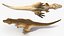 Animated Tyrannosaurus Rex Waiting Rigged for Cinema 4D