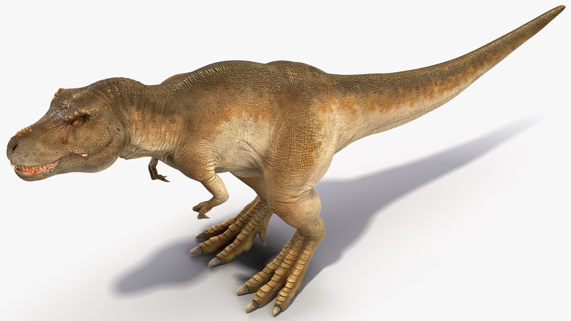 3D tyrannosaurus rex waiting animal https://p.turbosquid.com/ts-thumb/pZ/elxiBO/iziIY6uF/animatedtyrannosaurusrexidleriggedvray3dmodel006/jpg/1575268232/1920x1080/fit_q87/65f391f3bc42124f1f19ad0bc124e0003b846fb7/animatedtyrannosaurusrexidleriggedvray3dmodel006.jpg