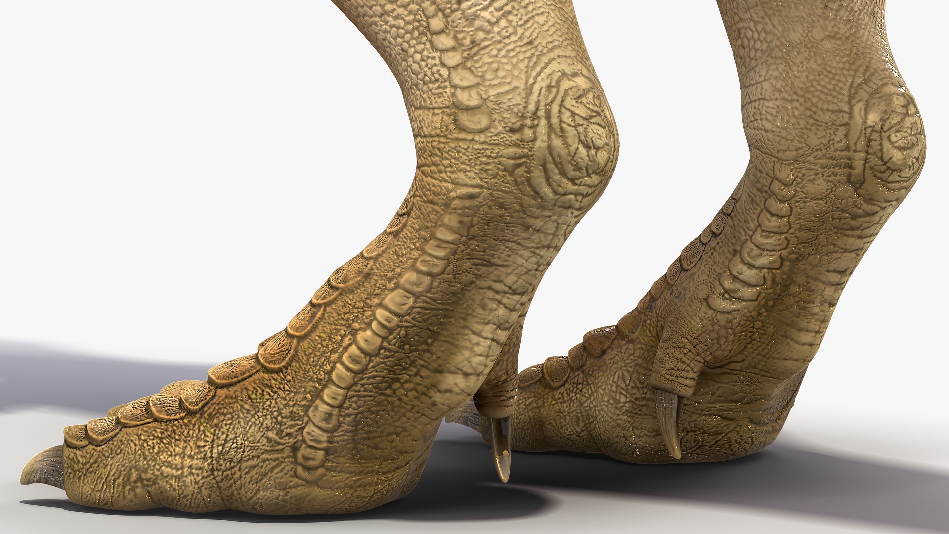 3D tyrannosaurus rex waiting animal https://p.turbosquid.com/ts-thumb/pZ/elxiBO/sngADpE0/animatedtyrannosaurusrexidleriggedvray3dmodel012/jpg/1575268239/1920x1080/fit_q87/345fbb83d87ddf937630f4f8411244ad195c9b14/animatedtyrannosaurusrexidleriggedvray3dmodel012.jpg