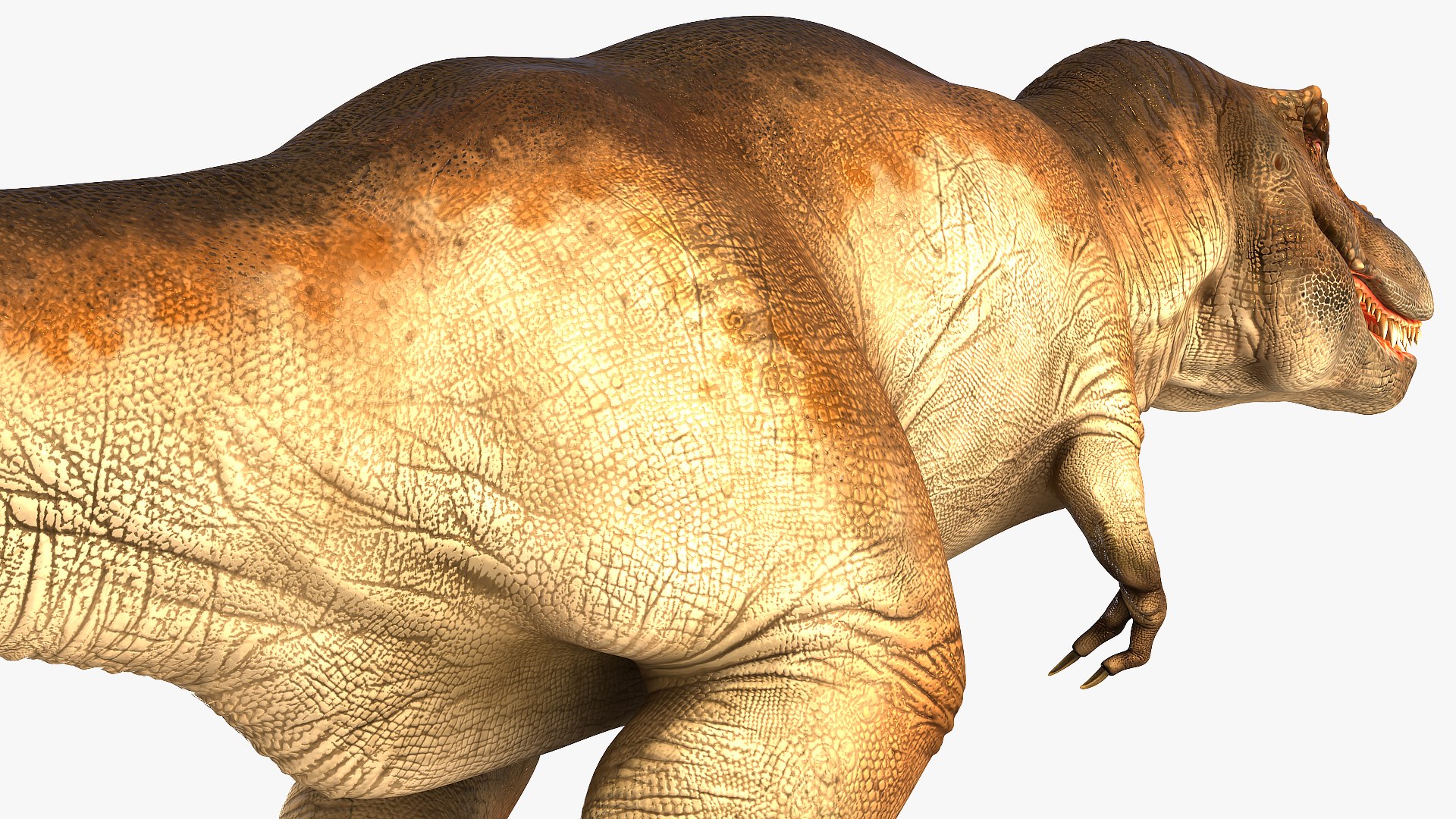 3D tyrannosaurus rex waiting animal https://p.turbosquid.com/ts-thumb/pZ/elxiBO/xJ3cVsTW/animatedtyrannosaurusrexidleriggedvray3dmodel011/jpg/1575268238/1920x1080/fit_q87/59cc1b87817406070c3bd700a1ba0365c1ed5923/animatedtyrannosaurusrexidleriggedvray3dmodel011.jpg