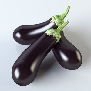 3d realistic eggplant model