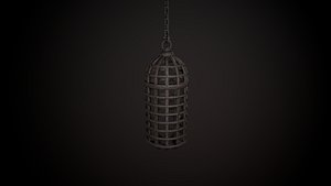 3D cage torture model