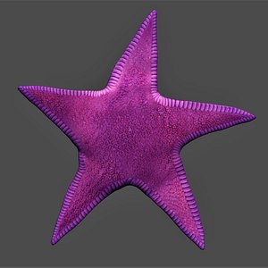 3D model fully rigged star