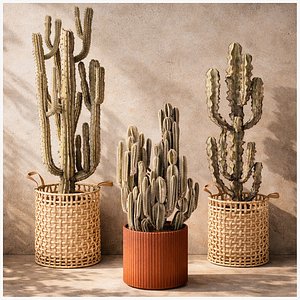 3D Desert plants basket Cereus cactus euphorbia cacti set decor pot model