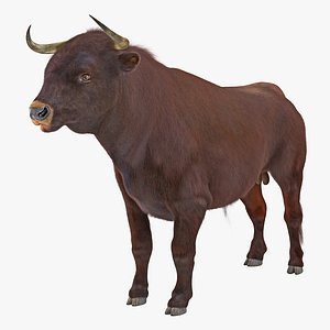 bull fur 3D