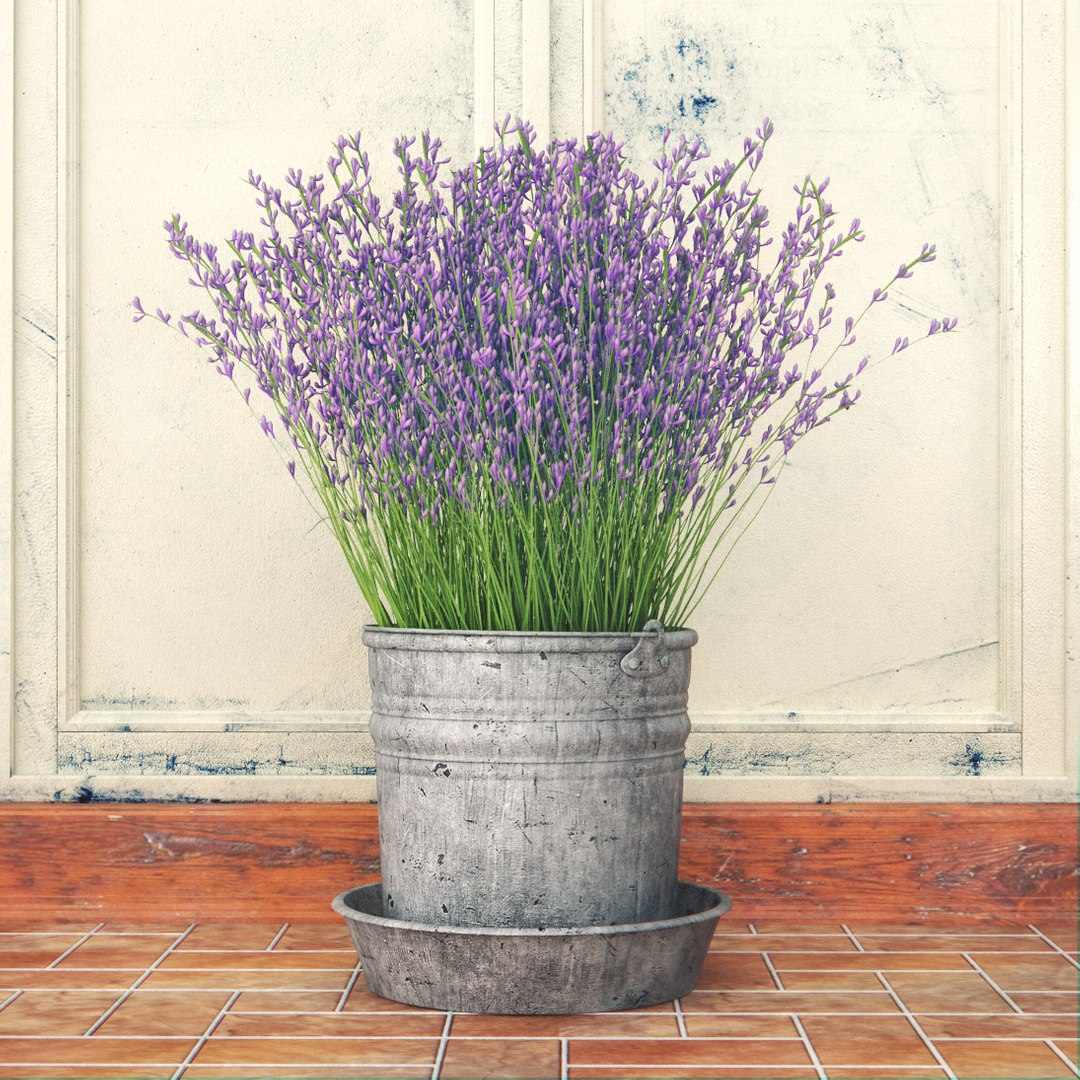 3d model purple flower metal bucket