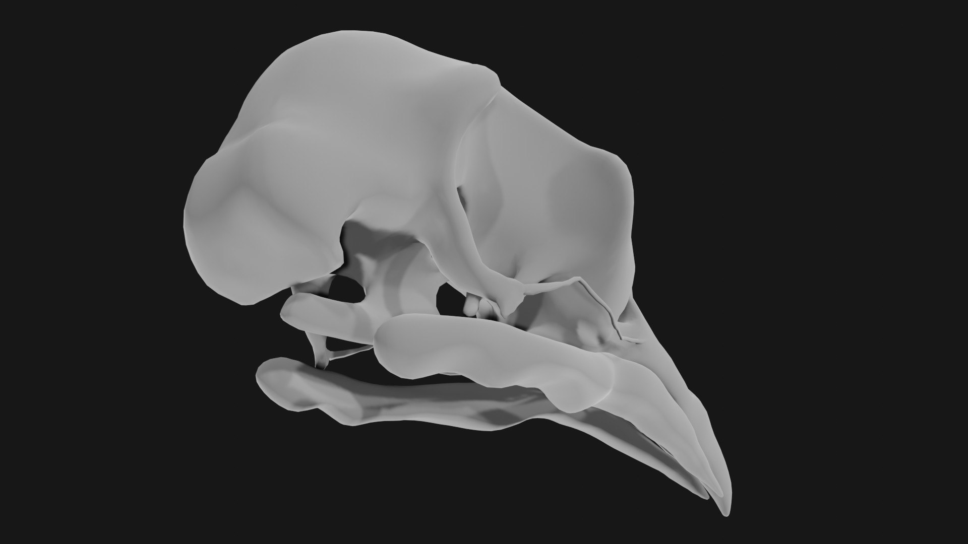 3D model Pigeon Skull https://p.turbosquid.com/ts-thumb/pa/6GAbxI/Hx/a7/jpg/1664729875/1920x1080/fit_q87/ee50122b12a2e94e874b25ea5d6cb99a575c2374/a7.jpg