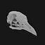 Pigeon Skull