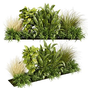 plant vol 862 - garden - leaf - banana - wood 3D model