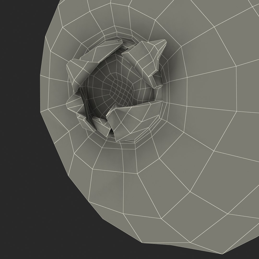 3d kiwi 2 fur modeled https://p.turbosquid.com/ts-thumb/pa/9egYuh/0U24SiER/kiwiwithfur3dmodel22/jpg/1425394780/1920x1080/fit_q87/3d9c6ba171061ae9f4d1589538b7d891b4e2ccef/kiwiwithfur3dmodel22.jpg