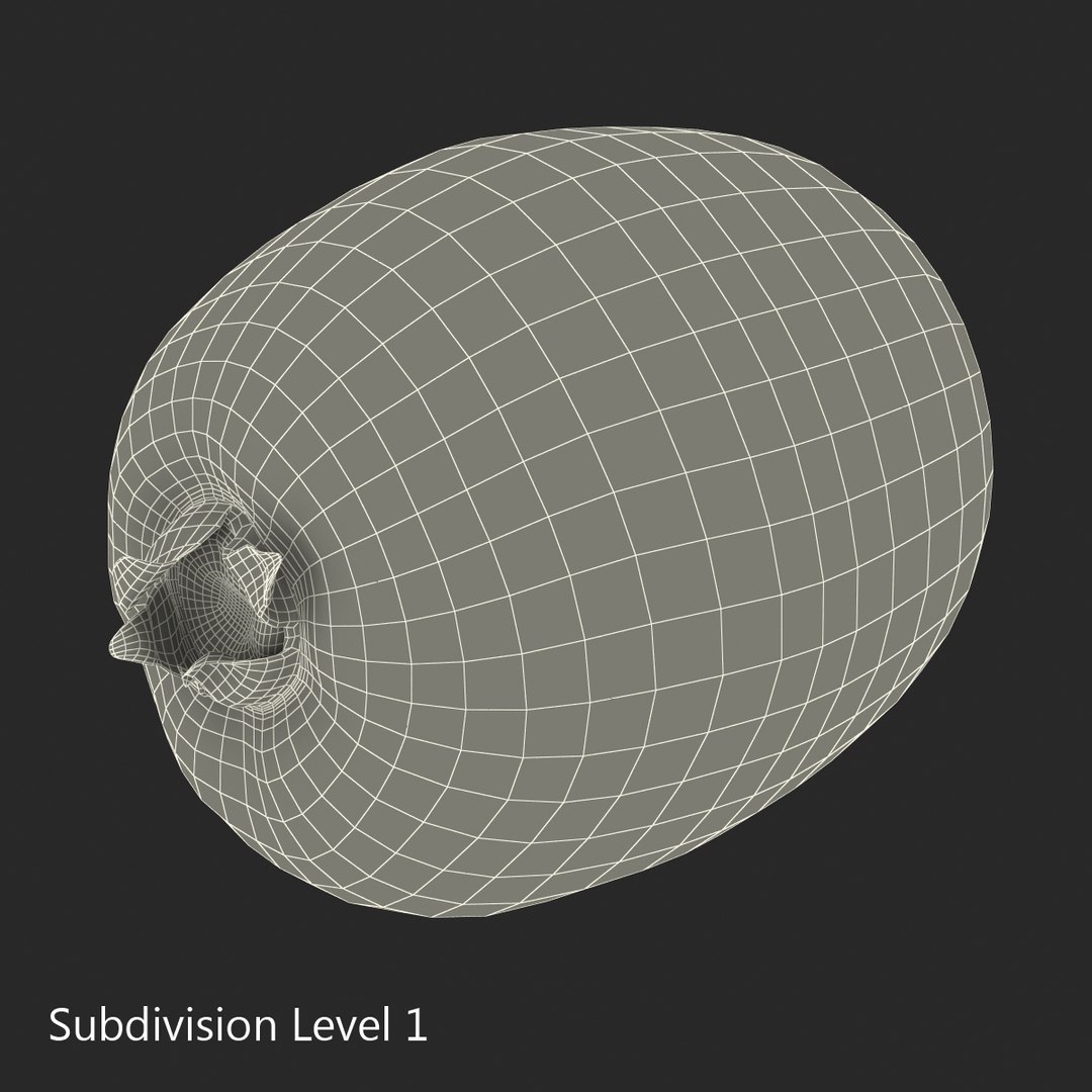3d kiwi 2 fur modeled https://p.turbosquid.com/ts-thumb/pa/9egYuh/0lA4K60b/kiwiwithfur3dmodel13/jpg/1425394779/1920x1080/fit_q87/02f1c67d21d00df27ee70974d62f415a5f9dbe67/kiwiwithfur3dmodel13.jpg