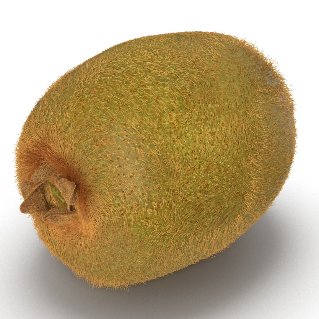 3d kiwi 2 fur modeled https://p.turbosquid.com/ts-thumb/pa/9egYuh/16vfY5K6/kiwiwithfur3dmodel03/jpg/1425394778/1920x1080/fit_q87/2c2de0479ff9678f2126d81abc93b08042c0d717/kiwiwithfur3dmodel03.jpg