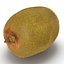 Kiwi 2 with Fur 3D Model