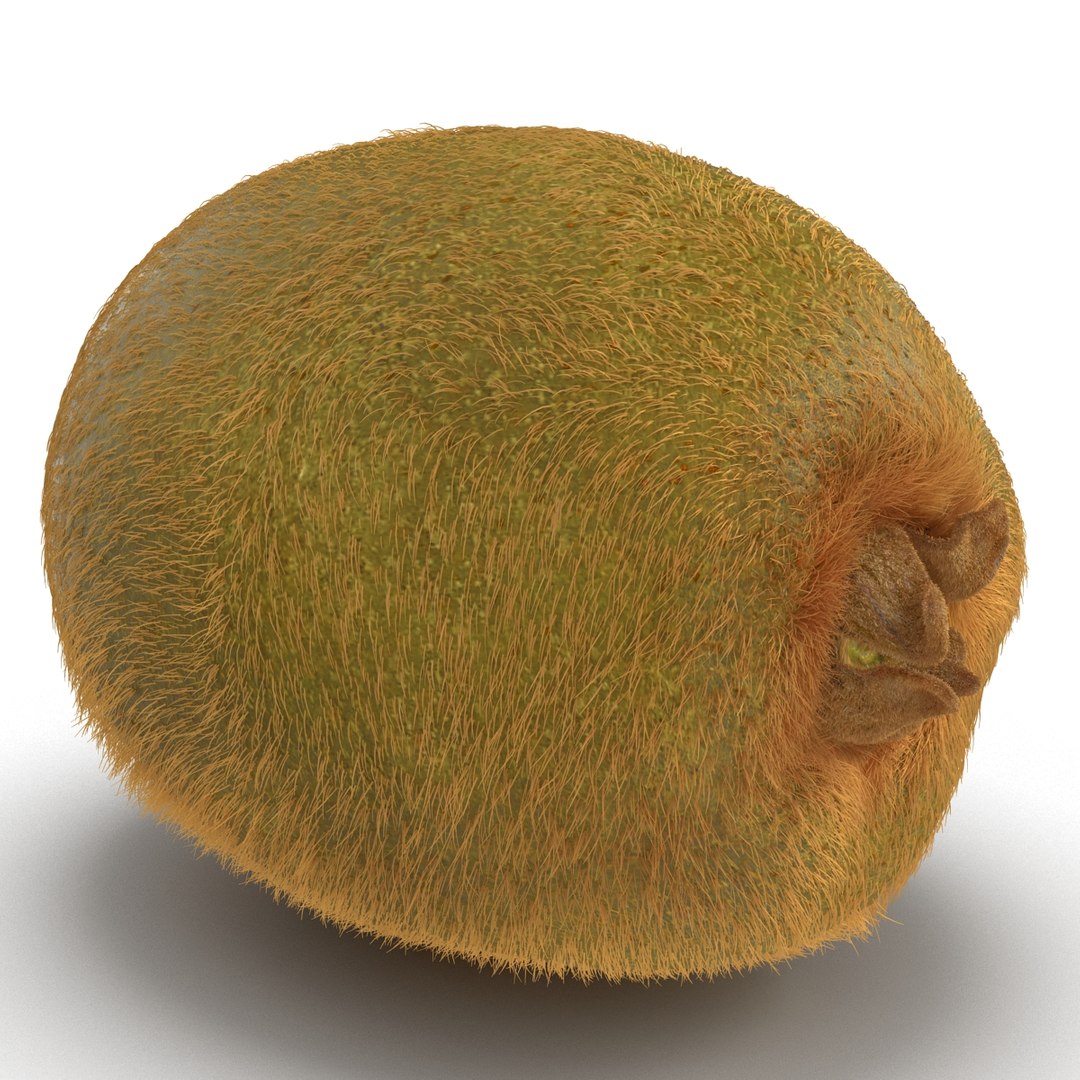 3d kiwi 2 fur modeled https://p.turbosquid.com/ts-thumb/pa/9egYuh/1Lwuq9Ma/kiwiwithfur3dmodel04/jpg/1425394778/1920x1080/fit_q87/f083e25e5914517d7ba727514265887ef2abeb68/kiwiwithfur3dmodel04.jpg